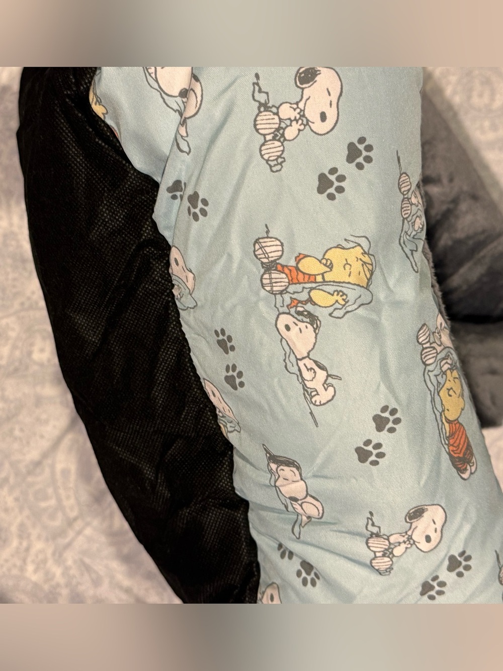 Peanuts Snoopy & Linus Plush Gray & Light Blue Pet Bed